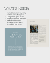 Into The Mysteries Rosary Bible Study