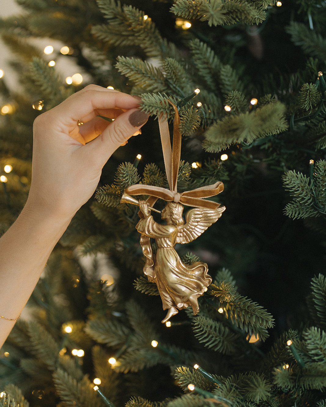Gold angel ornament being hung on a decorated Christmas tree with lights.