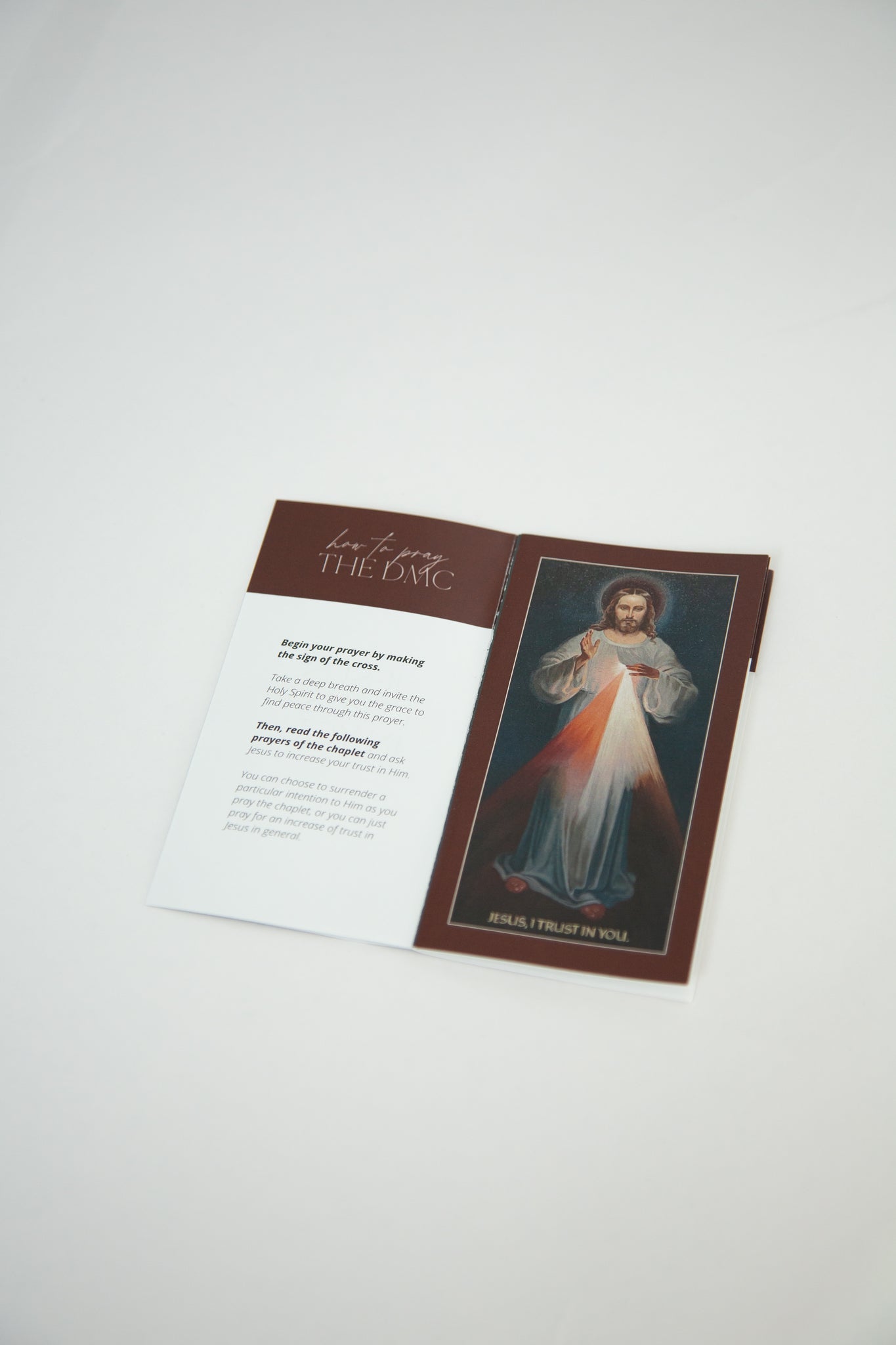 Divine Mercy Chaplet Booklet