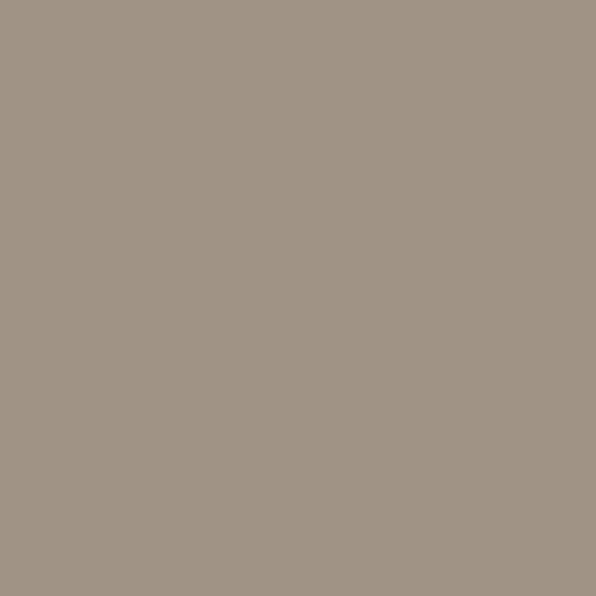 Web_Banner_Images_4.png